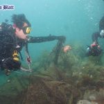 (Pattaya News 5) Fishing nets picked off island seabed pic 1