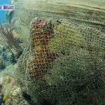 (Pattaya News 5) Fishing nets picked off island seabed pic 2