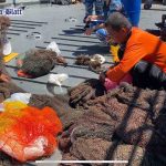 (Pattaya News 5) Fishing nets picked off island seabed pic 4